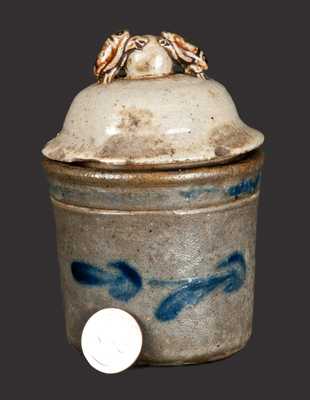 Extremely Rare Decorated Stoneware Preserve Jar with Dung Beetle Lid, Anna Pottery, circa 1880