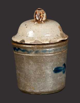 Extremely Rare Decorated Stoneware Preserve Jar with Dung Beetle Lid, Anna Pottery, circa 1880