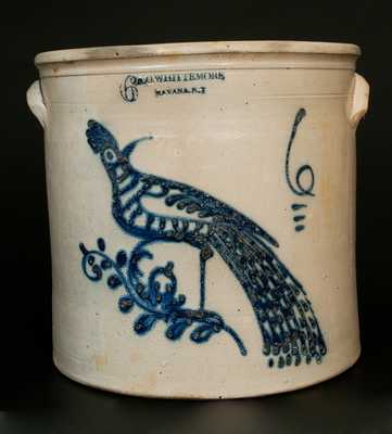 A. O. WHITTEMORE / HAVANA, NY 6 Gal. Stoneware Crock w/ Large Slip-Trailed Bird Decoration