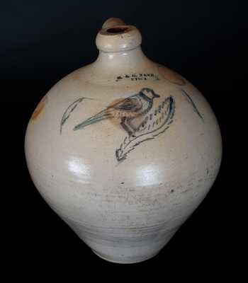 Rare H. & G. NASH. / UTICA Stoneware Jug with Incised Bird