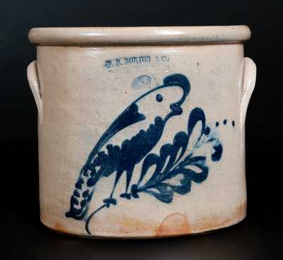 F. B. NORTON & CO / WORCESTER, MASS. Stoneware Crock w/ Parrot Decoration