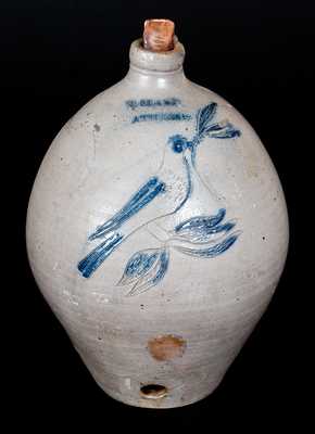 Very Rare N. CLARK / ATHENS Stoneware Jug Cooler with Incised Bird Decoration