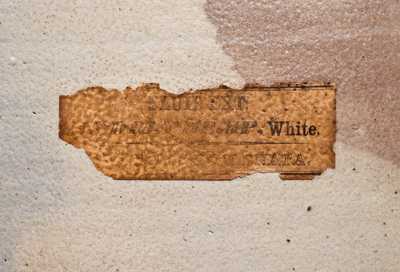 4 Gal. SATTERLEE & MORY / FORT EDWARD, N.Y. Stoneware Bird Jug