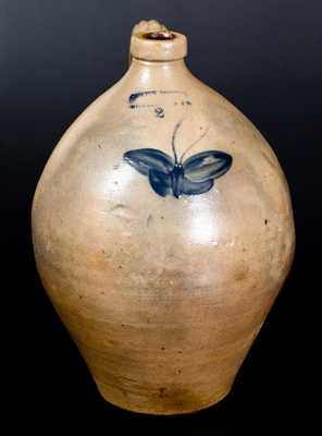 JULIUS NORTON, / BENNINGTON VT Stoneware Jug w/ Cobalt Butterfly Decoration, c1841-44