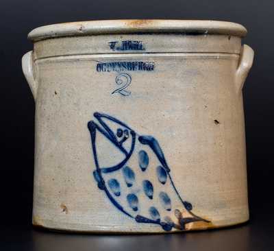 Fine 2 Gal. W. HART / OGDENSBURGH Stoneware Jar with Fish Decoration