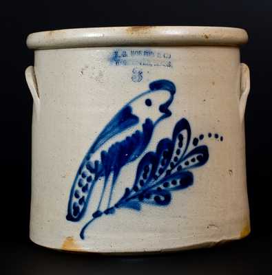 F.B. NORTON & CO / WORCESTER, MASS Stoneware Crock w/ Parrot