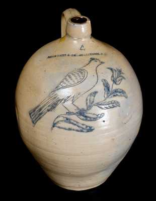 JACOB CAIRE & CO. / POUGHKEEPSIE, NY Stoneware Jug w/ Exceptional Incised Bird Decoration