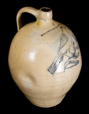 JACOB CAIRE & CO. / POUGHKEEPSIE, NY Stoneware Jug w/ Exceptional Incised Bird Decoration