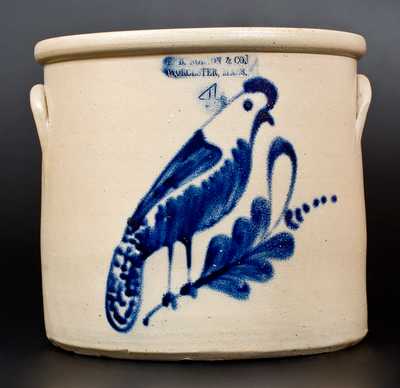 F. B. NORTON & CO. / WORCESTER, MASS. Stoneware Crock w/ Unusual Parrot Decoration