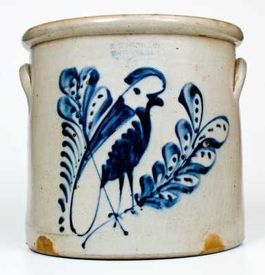 6 Gal. F. B. NORTON & CO. / BENNINGTON, VT Stoneware Crock w/ Bold Parrot Design