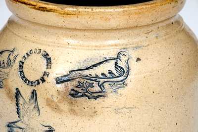 Rare JACOB CAIRE / PO KEEPSIE, NY Stoneware Jar w/ Impressed Birds and Eagle Designs