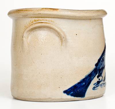 Rare ALBANY, NY Stoneware Crock with Bold Cobalt Bird Decoration