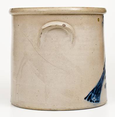 Scarce 3 Gal. Albany, NY Stoneware Bird Crock