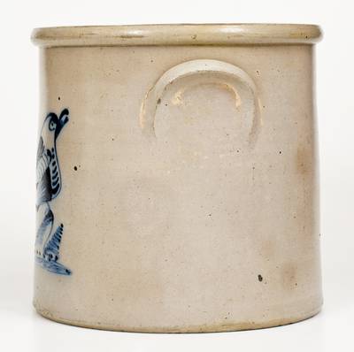 Scarce 3 Gal. Albany, NY Stoneware Bird Crock