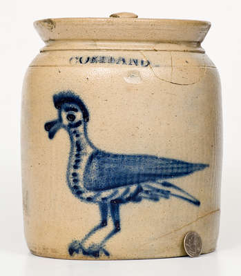 Scarce CORTLAND, New York Stoneware Jar w/ Cobalt 