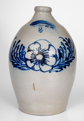 krnの宝物1 krnの宝物1 ノルコーポレーション 宝物発見シリーズ 黄金発見! 1セット