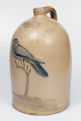 Exceptional CHATHAM (Canada West) Stoneware Advertising Jug w/ Elaborate Bird-on-Branch Decoration