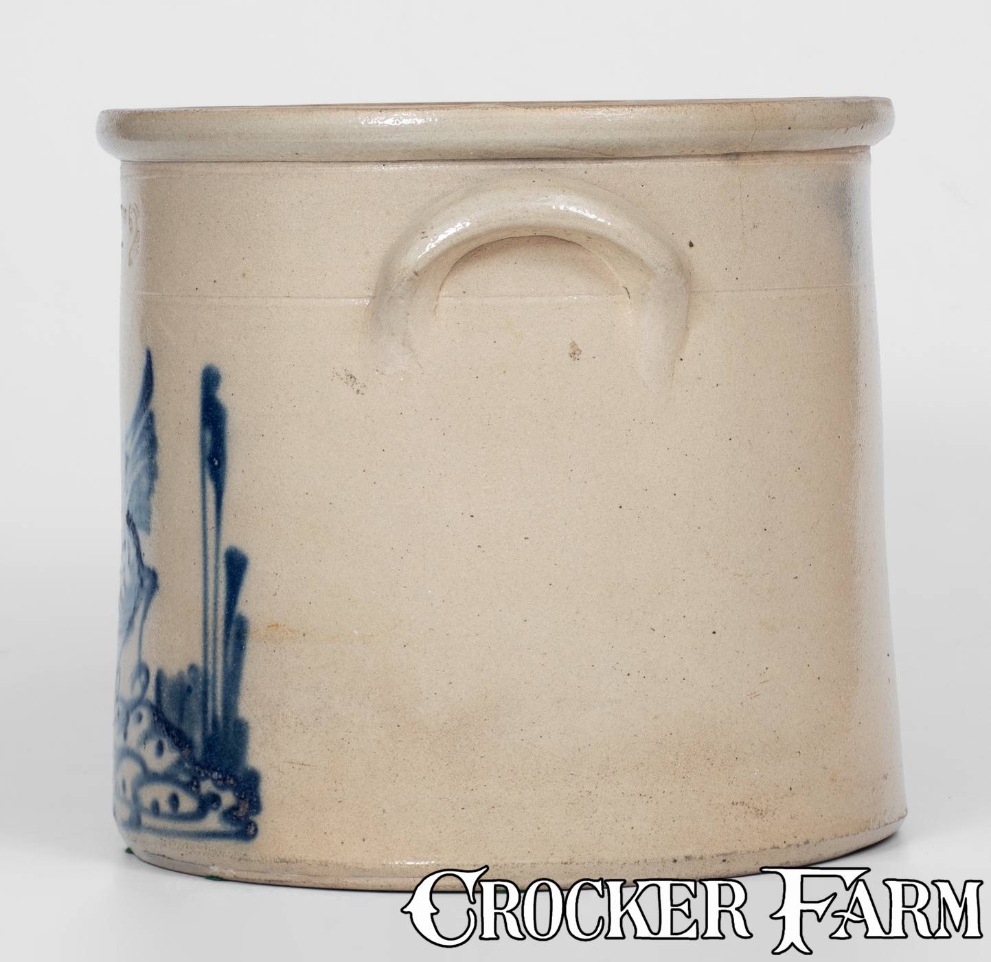 RIEDINGER & CAIRE / POUGHKEEPSIE, New York Stoneware Crock w/ Pecking ...