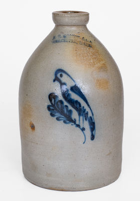 F. B. NORTON & CO. / WORCESTER, MASS. Stoneware Parrot Jug