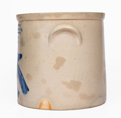 3 Gal. NEW YORK STONEWARE CO. / FORT EDWARD, NY Stoneware Crock w/ Elaborate Bird