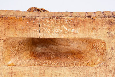 Sewertile Lion Inscribed 